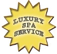 gold luxury star badge