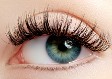 Hybrid Lashes